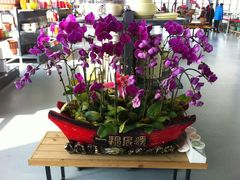 -南通洲际绿博园