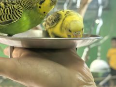 -上海大自然野生昆虫馆