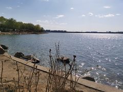 -丁香湖公园