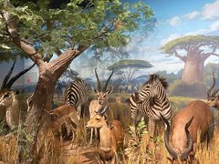 -陕西自然博物馆