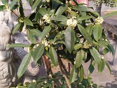 -宝泉胜境旅游度假区