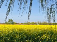 -长兴太湖图影湿地文化园