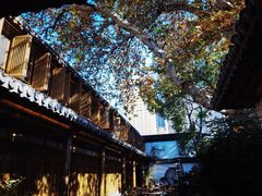 -鲤院·新中式美学·庭院餐厅(夫子庙店)