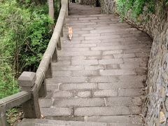 -白帝城·瞿塘峡景区