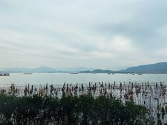 -湖畔居茶楼(湖滨店)