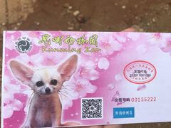 -昆明动物园