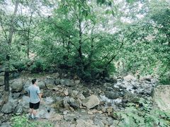 -大连天门山国家森林公园