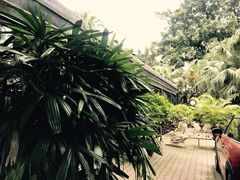 -火车头法国西餐厅
