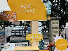 -苏小糖(鼓浪屿三丘田花园店)