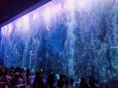-哈尔滨波塞冬海底世界