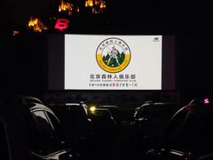 -枫花园汽车电影院(朝阳公园店)