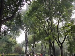 -莲湖公园