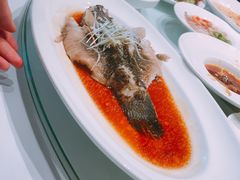 -张生记(丁香国际店)