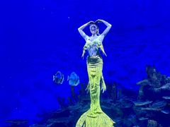 -海合安武汉极地海洋公园