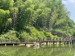 -宝岩生态观光园