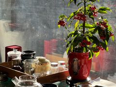 -颜家菜·鲁菜世家(大明湖店)