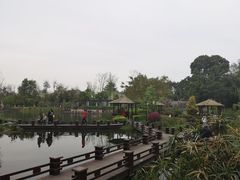 -成飞公园
