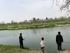 -洨河生态公园