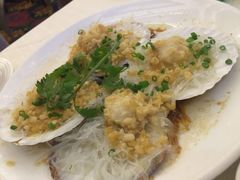 粉丝大元贝-北海渔村酒楼·粤菜海鲜点心(新华店)