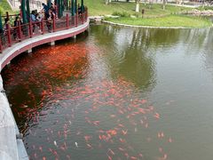 -西海子公园
