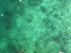 -东姑阿都拉曼海洋公园