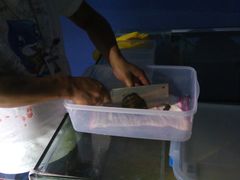 -福州罗源湾海洋世界旅游区