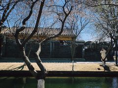 -春风习习