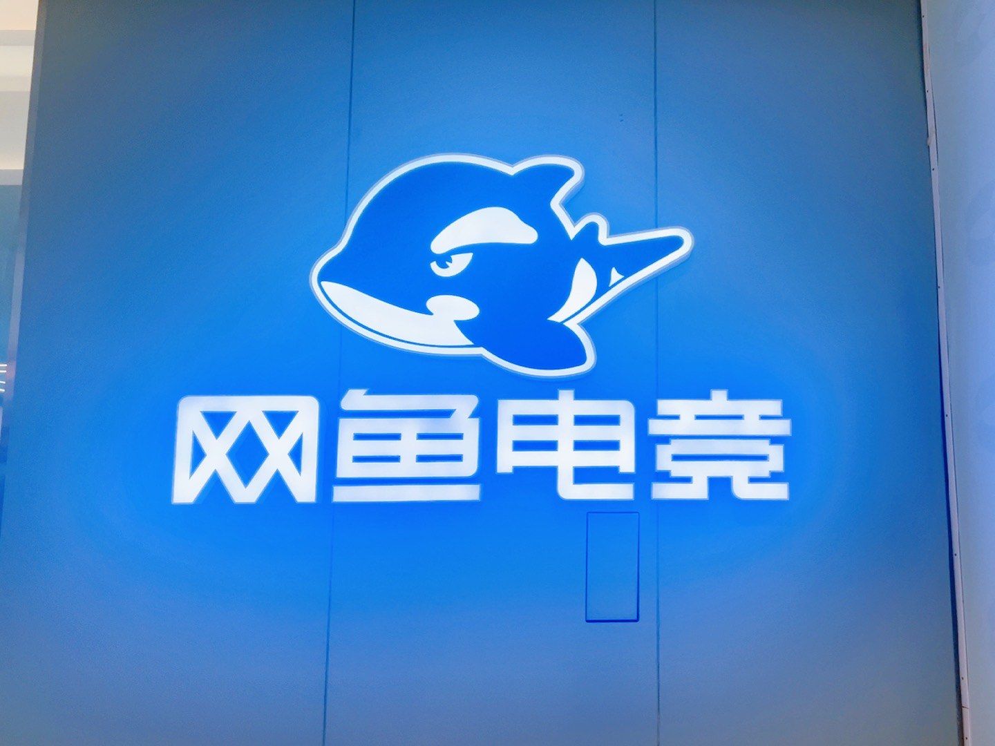 电竞网咖 #电竞网吧 
网鱼网咖的