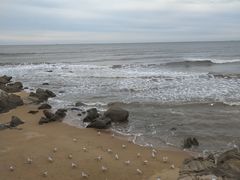-北戴河东海水浴场