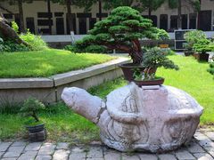 -苏州文庙(姑苏区)