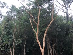 -广州市白云山风景名胜区