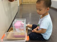 -黄浦乐烁龙鱼宝贝托育园(海潮路校区)