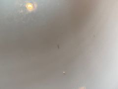 -木守西溪溪隐餐厅