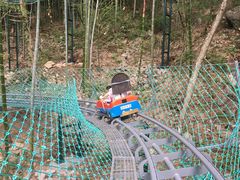 -藏龙百瀑风景区