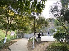 -火炉山森林公园