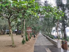 -马銮湾景区