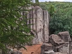 -长虫山生态公园风景林