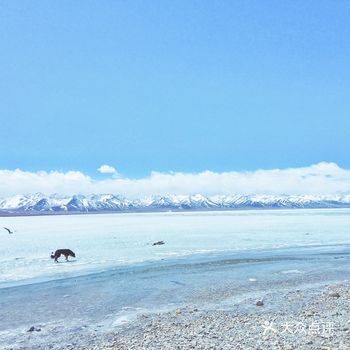 西藏三大圣湖之一纳木措|冰湖|冰浪