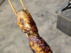 -管氏翅吧(护国寺店)