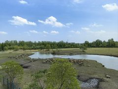 -溱湖国家湿地公园