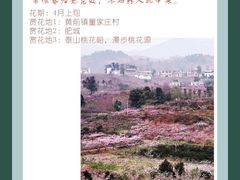 -泰山花样年华景区