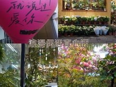 -溪岸路花鸟市场