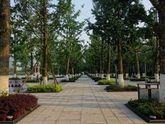 -百林公园-两江幸福广场