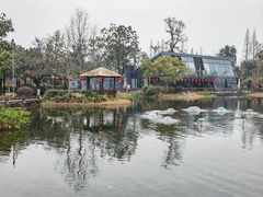 -成飞公园