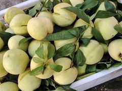 -小八仙·宴(三峡茶庄店)