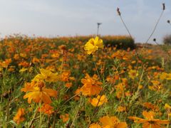 -汉长安城未央宫国家考古遗址公园