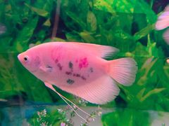 -常州海昌海洋探索馆