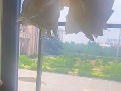 -水边(郯城店)