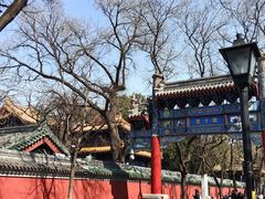 -马三洋芋片(簋街店)