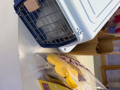-小猫来了·猫舍(红山六九七九店)